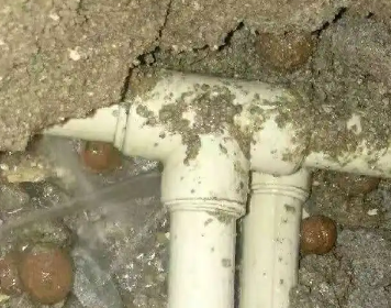 灯塔测漏水多少钱