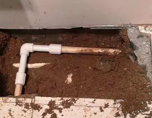 灯塔测漏水哪家好