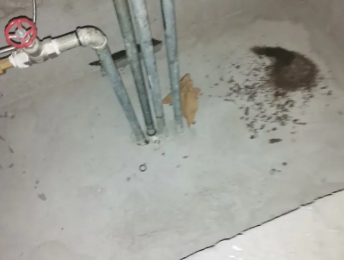 灯塔卫生间测漏水价格明细