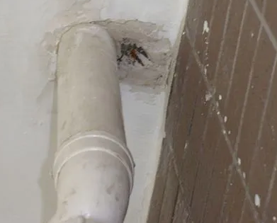 灯塔漏水检测哪家好